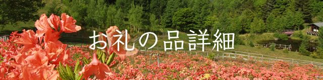 ふるさと納税 長野県 宮田村 駒ヶ岳清流サーモン１匹満足セット - parafiacharzykowy.pl